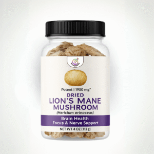 Dried Lion’s Mane Mushroom for Brain Health, Focus & Nerve Support